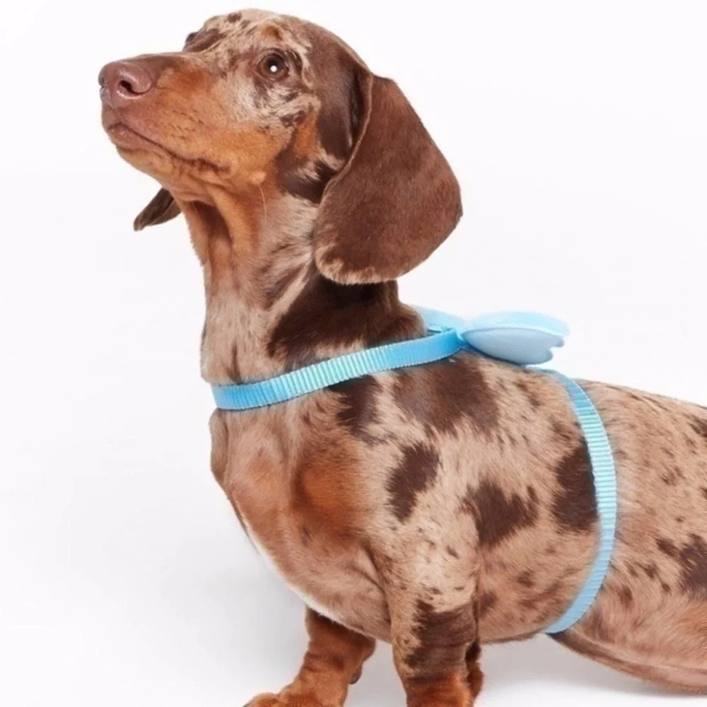 Blue Angel Winged Dog Harness, One Size